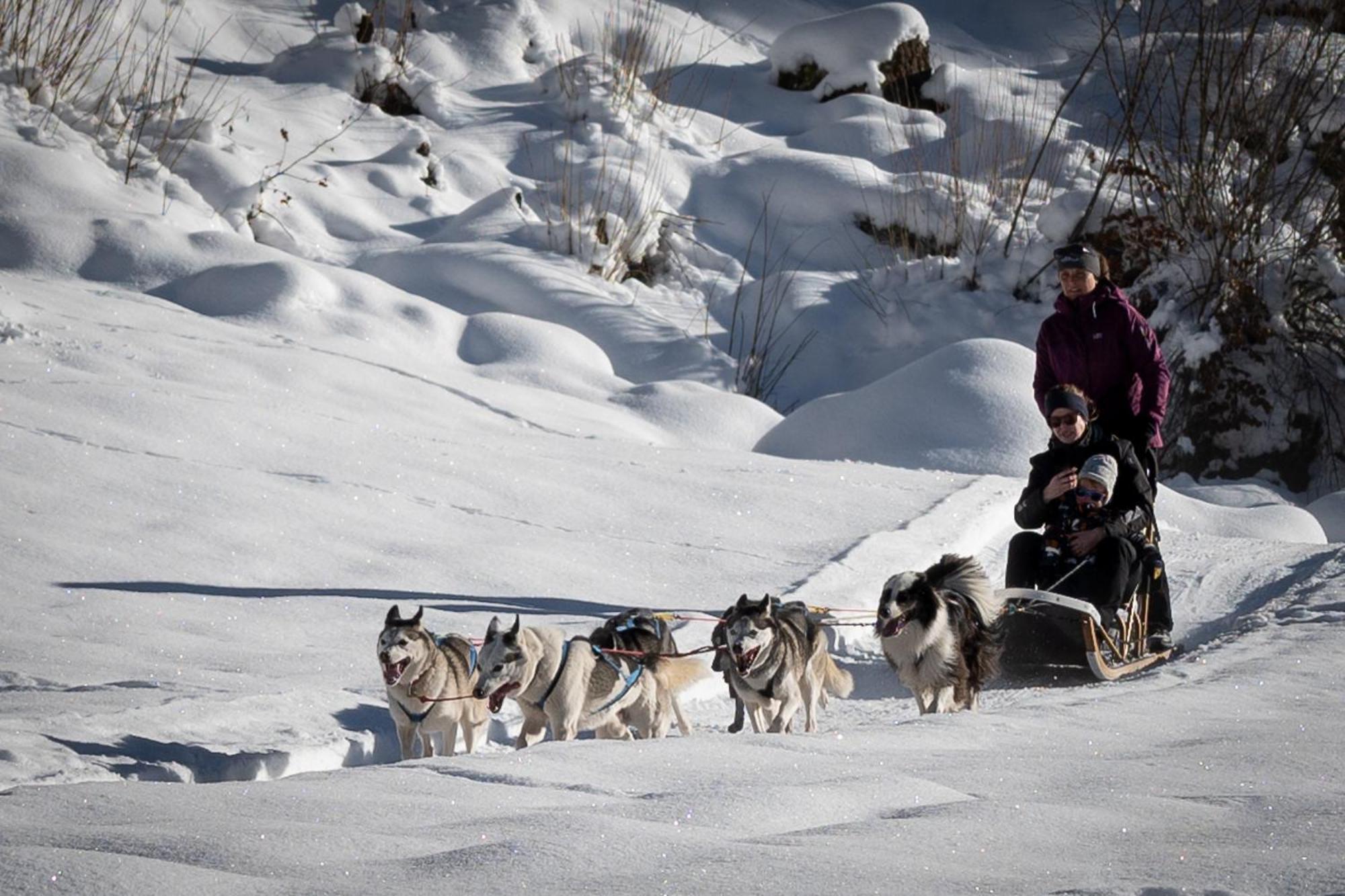 Huettenhotel Husky Lodge Муотаталь Экстерьер фото
